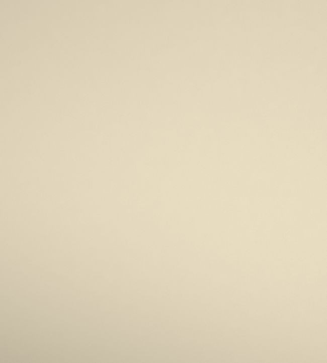 Warwick Fabrics Serena Bronze Fabric Remnant