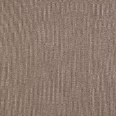 Porter and Stone Savanna Fabric, Putty, Remnant