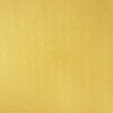 Fryetts Georgia II Barley Fabric, Remnant