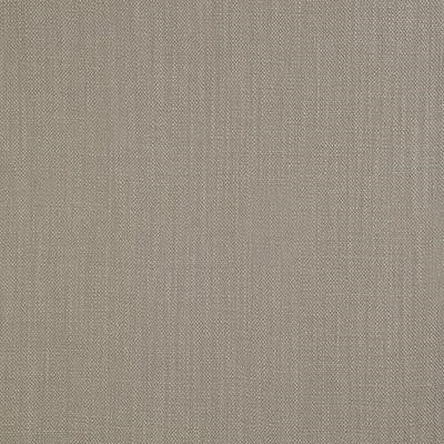 Porter & Stone Savanna Silver Fabric, Remnant