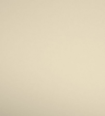 Warwick Fabrics Serena Bronze Fabric Remnant