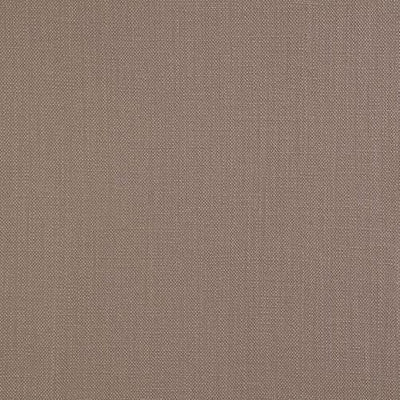 Porter and Stone Savanna Fabric, Putty, Remnant
